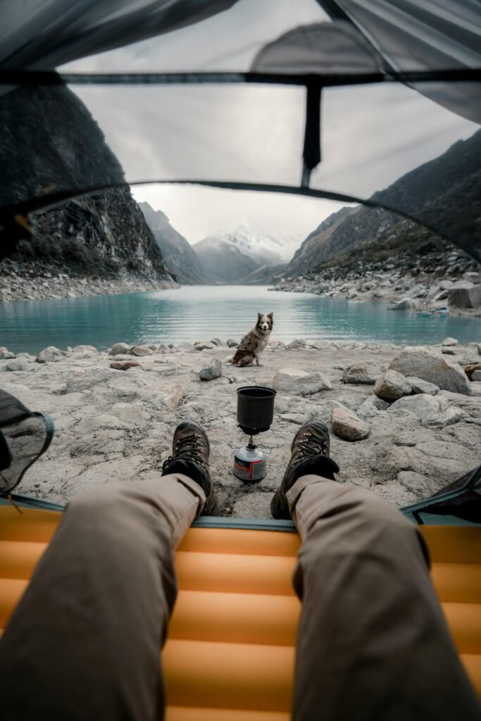 A picturesque camping scene with a dog by a tranquil mountain lake, viewed from inside a tent.